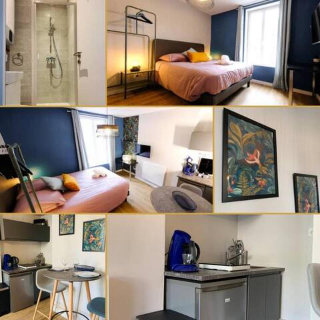 Luxueux Studio Rue Bannier Neuf Apartment ออร์เลออง ภายนอก รูปภาพ